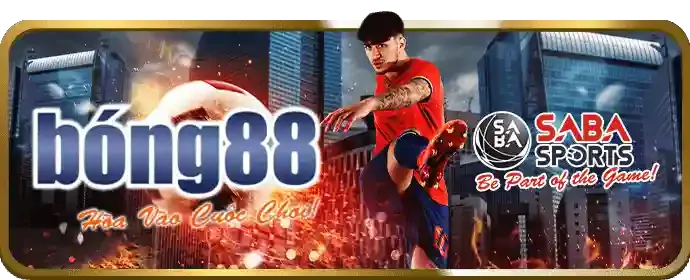 Hỗ trợ khách hàng cbvip777